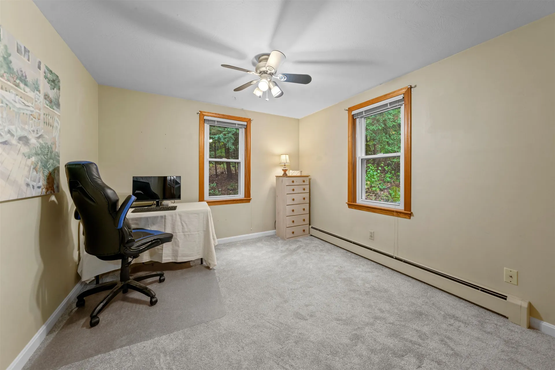 17 Centennial Drive Webster NH 03303