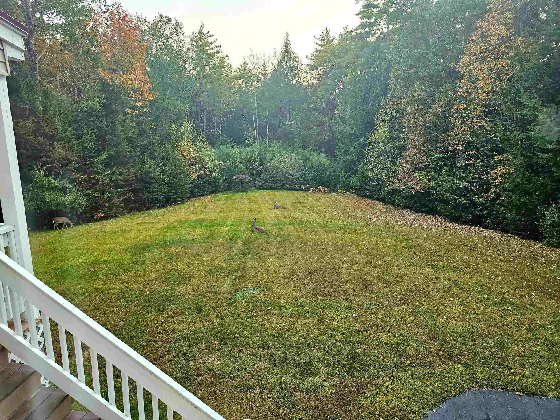 496 Loudon Road Pittsfield NH 03263