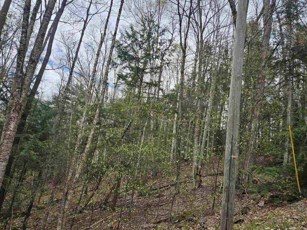 Lot 265 King Drive Haverhill NH 03765