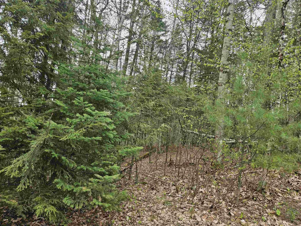 Lot 265 King Drive Haverhill NH 03765