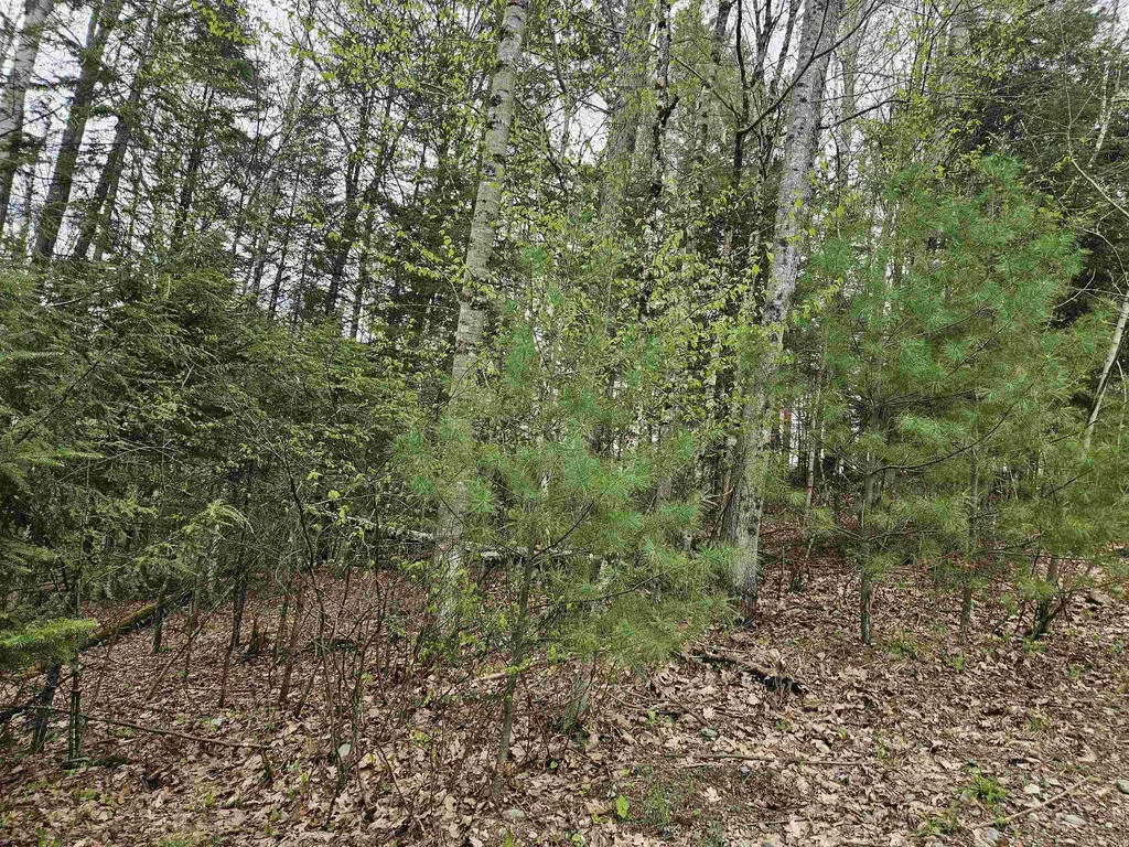 Lot 265 King Drive Haverhill NH 03765