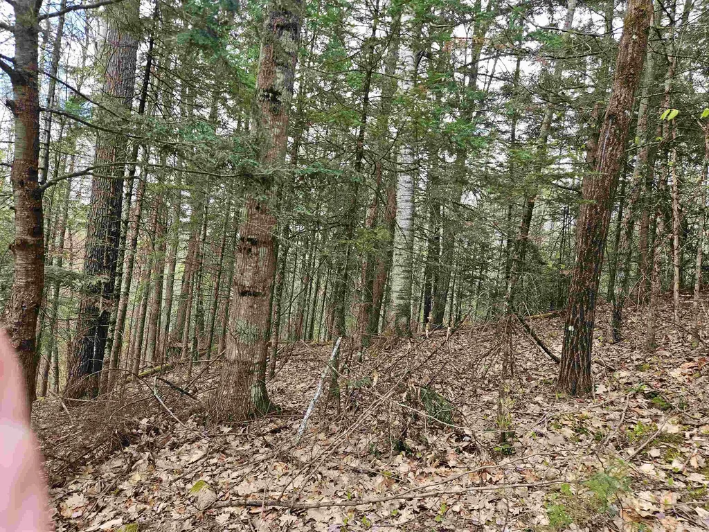 Lot 265 King Drive Haverhill NH 03765