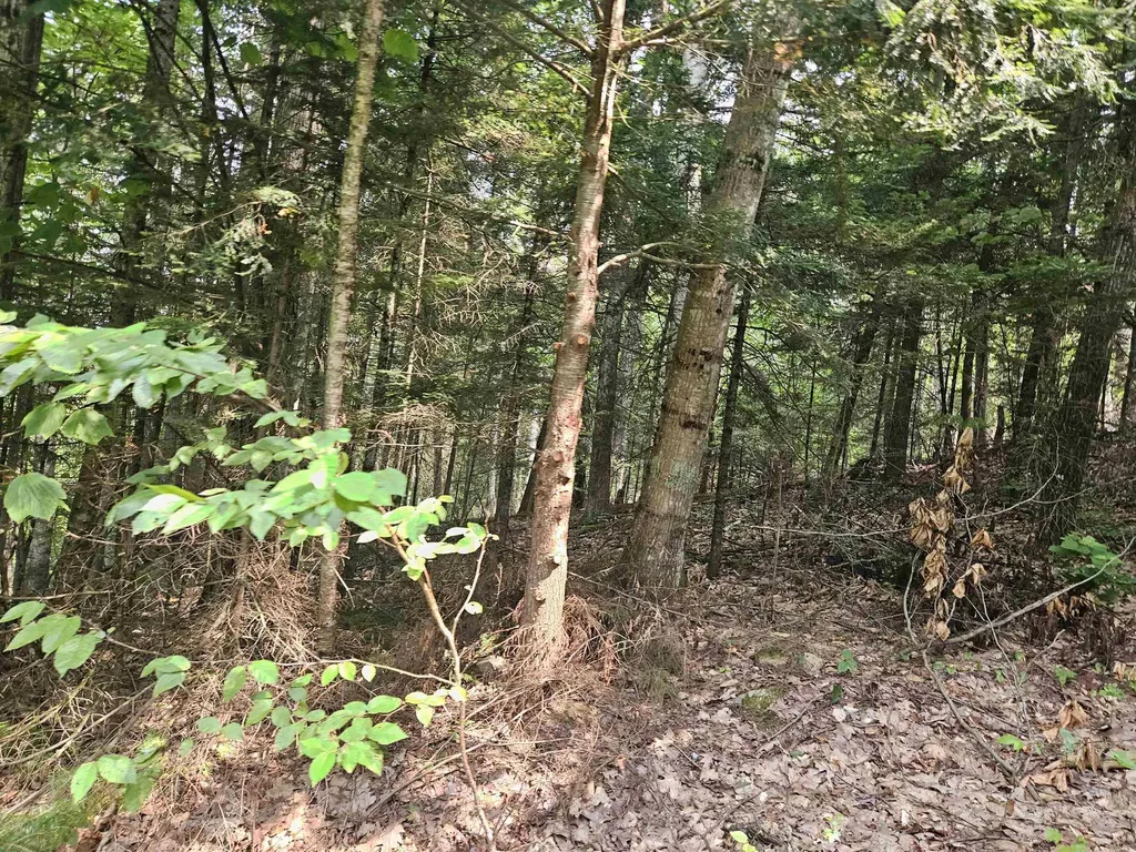 Lot 265 King Drive Haverhill NH 03765