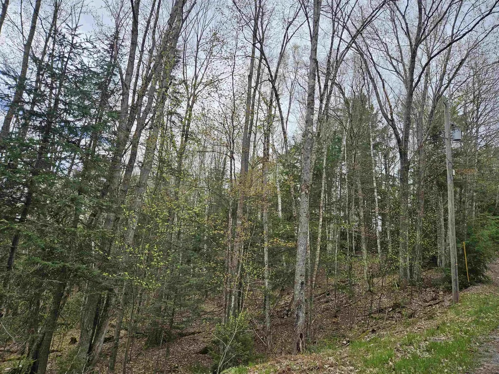 Lot 265 King Drive Haverhill NH 03765