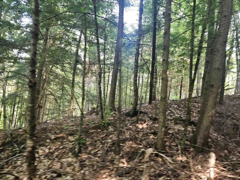 Lot 265 King Drive Haverhill NH 03765