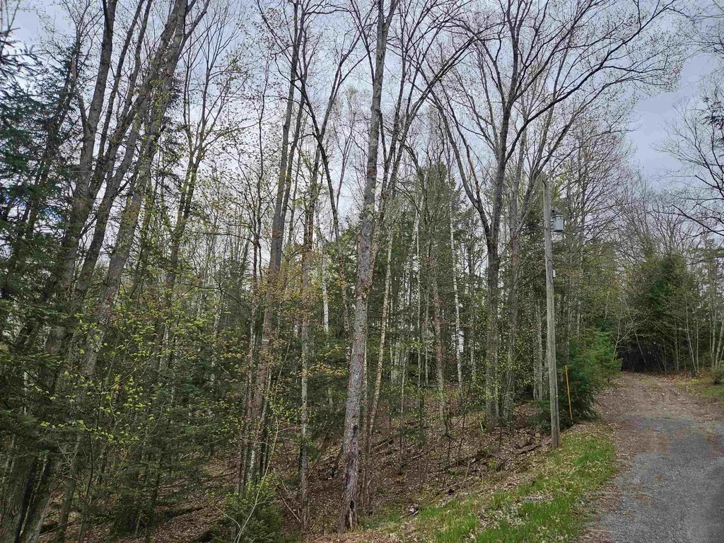 Lot 265 King Drive Haverhill NH 03765