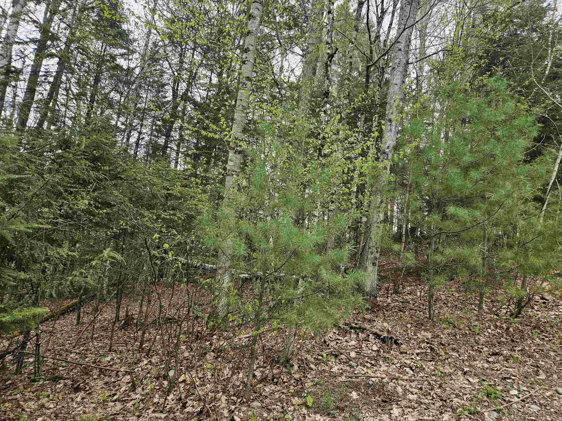 Lot 265 King Drive Haverhill NH 03765