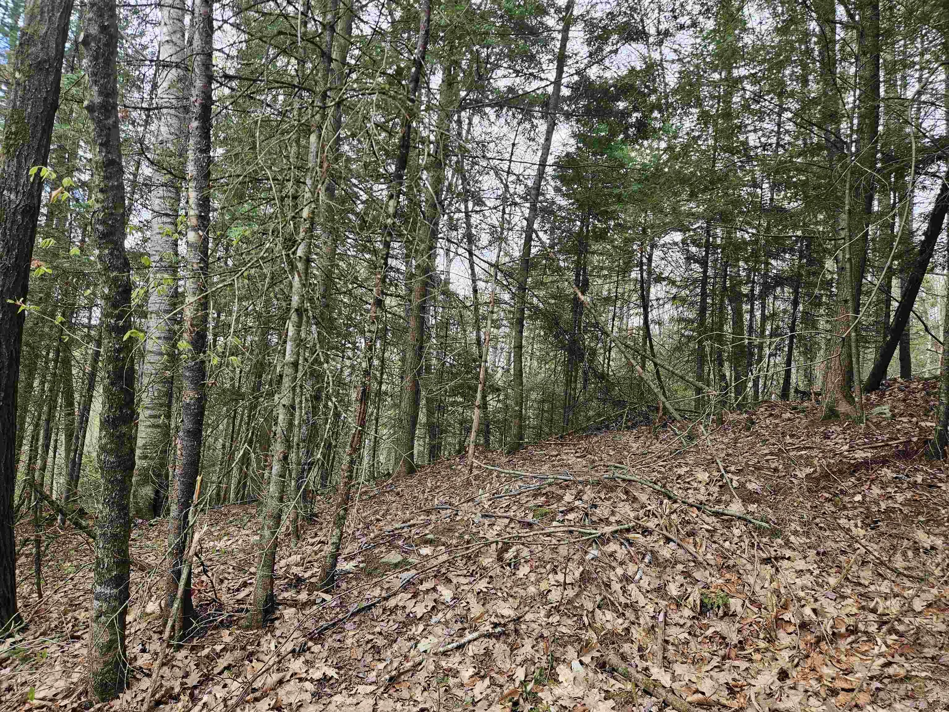 Lot 265 King Drive Haverhill NH 03765