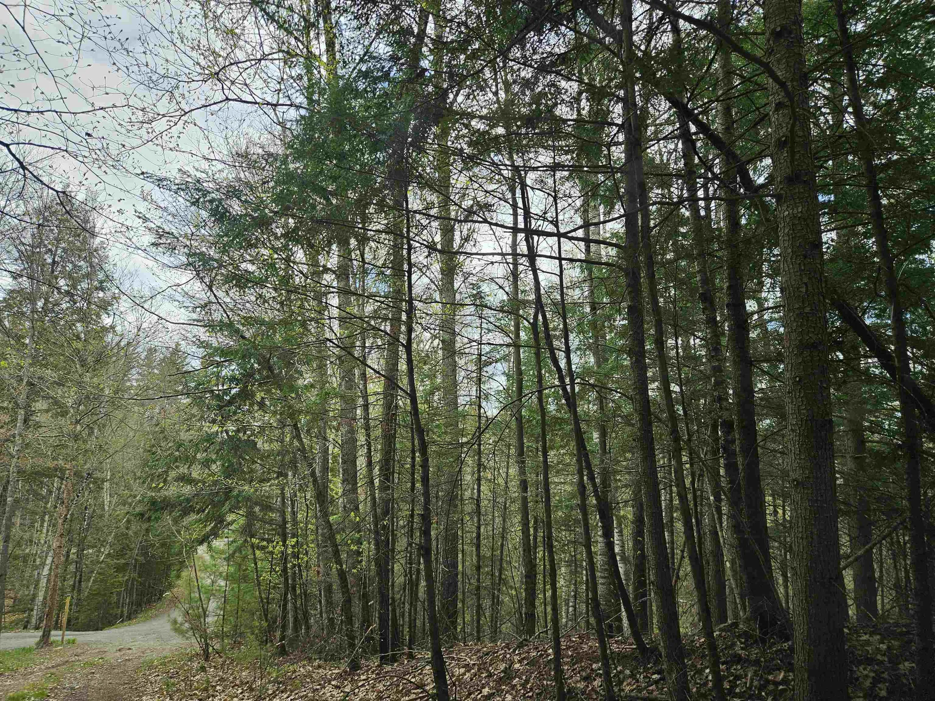 Lot 265 King Drive Haverhill NH 03765