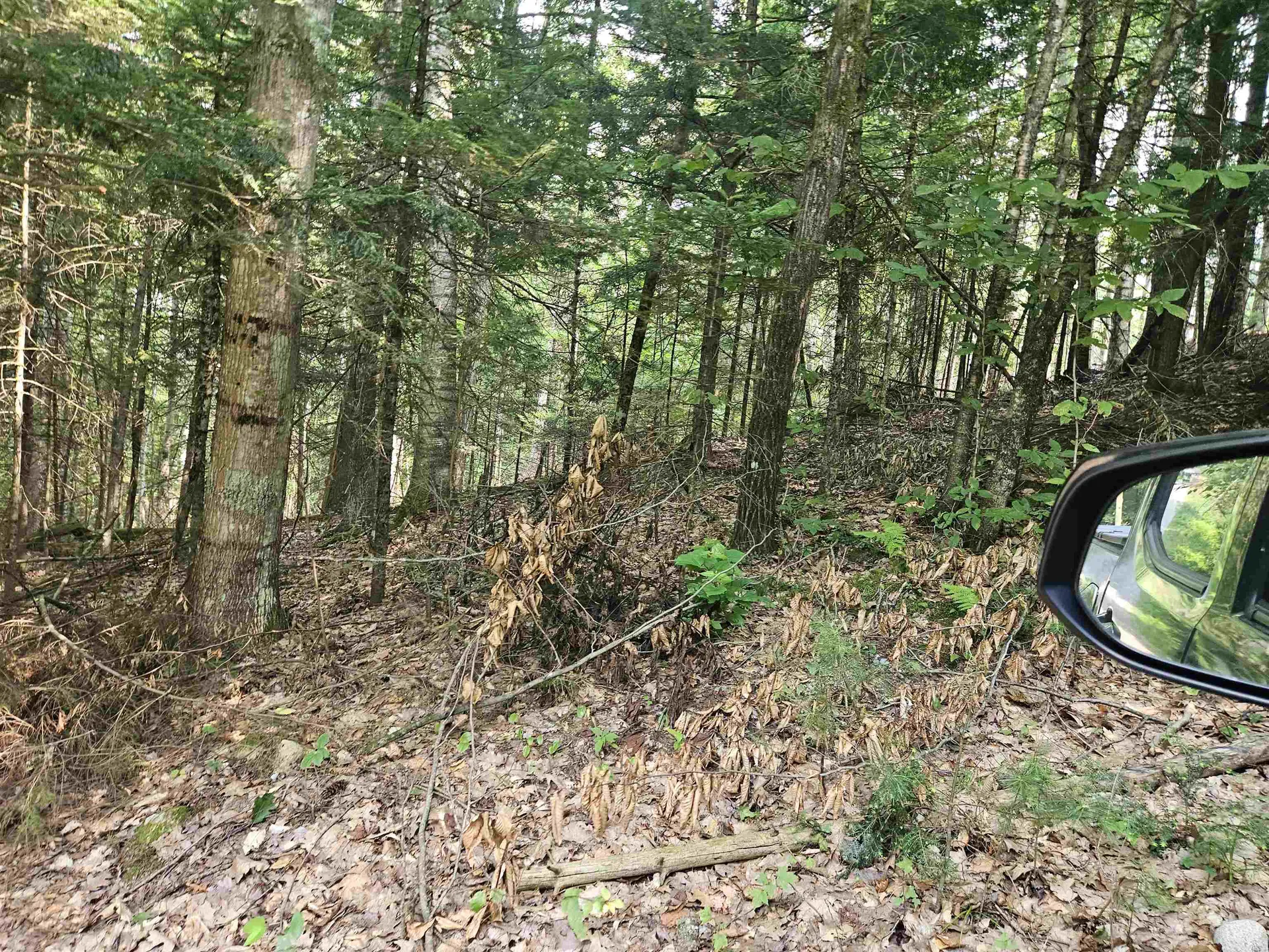 Lot 265 King Drive Haverhill NH 03765