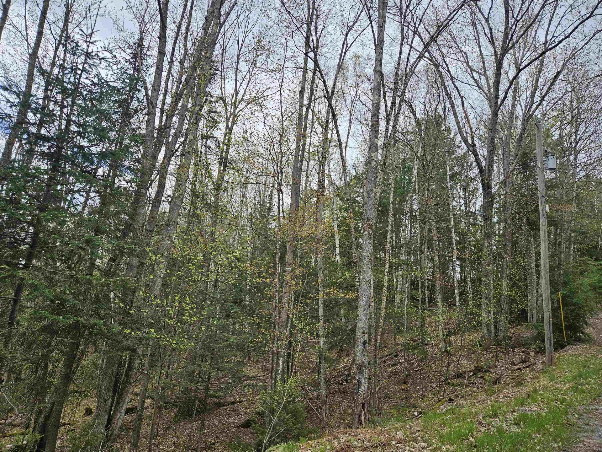 Lot 265 King Drive Haverhill NH 03765