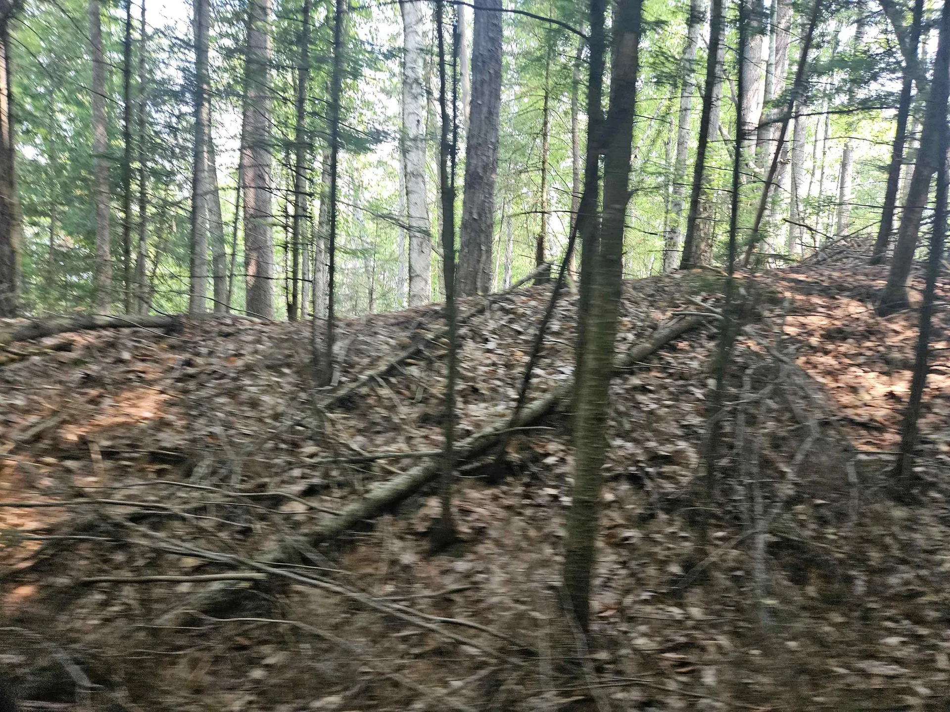 Lot 265 King Drive Haverhill NH 03765