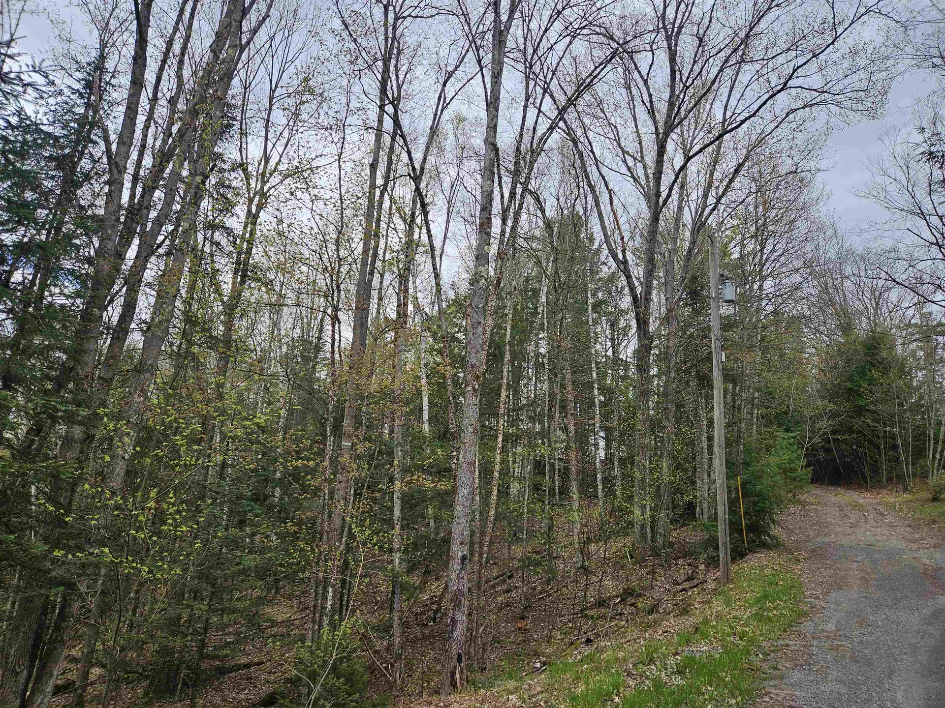 Lot 265 King Drive Haverhill NH 03765