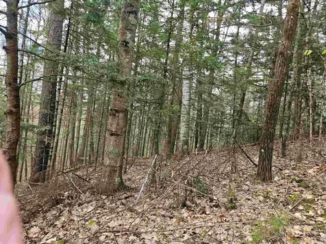 Lot 265 King Drive Haverhill NH 03765
