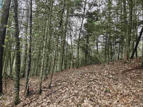 Lot 265 King Drive Haverhill NH 03765