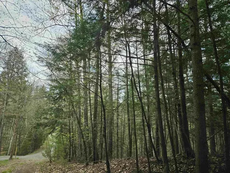 Lot 265 King Drive Haverhill NH 03765