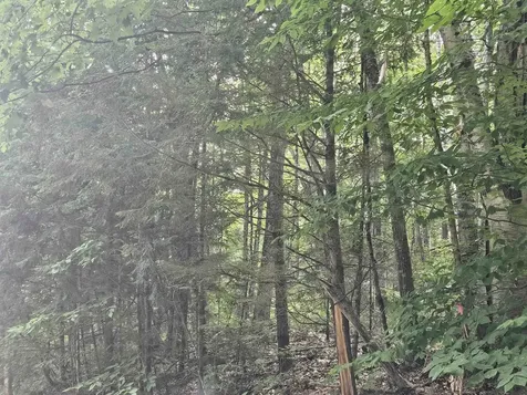 Lot 265 King Drive Haverhill NH 03765