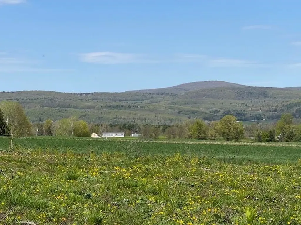 389 Young Road Williamstown VT 05679