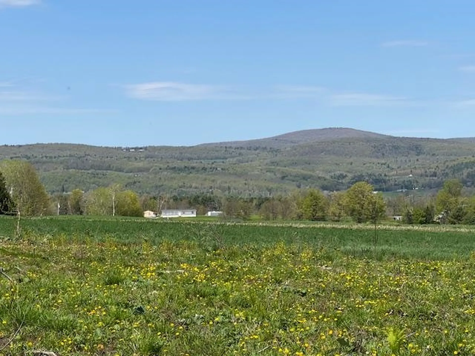 389 Young Road Williamstown VT 05679