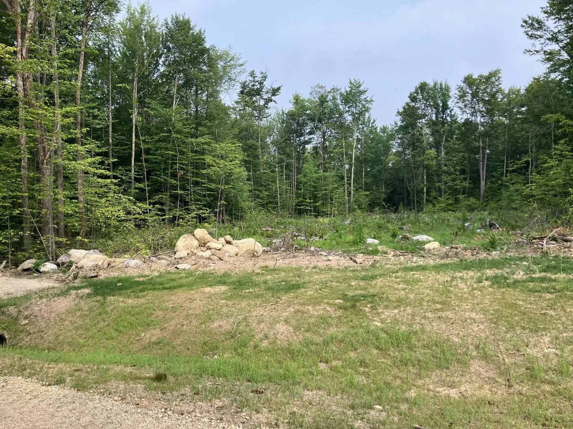 Lot 6 Fern Lake Road Leicester VT 05773