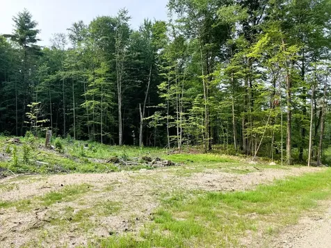 Lot 6 Fern Lake Road Leicester VT 05773