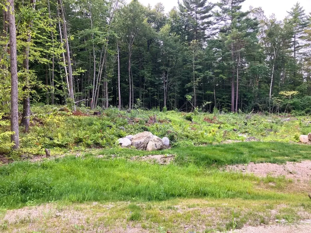 Lot 7 Fern Lake Road Leicester VT 05733
