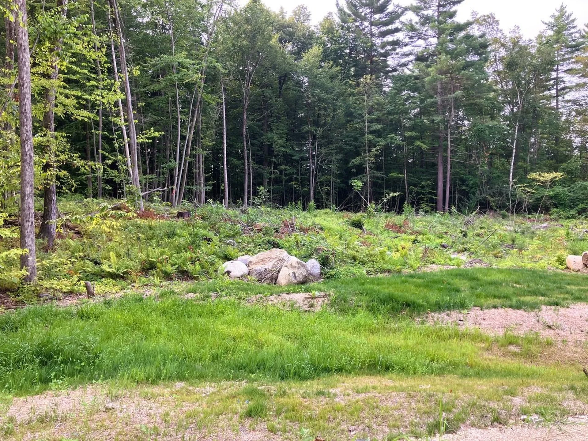 Lot 7 Fern Lake Road Leicester VT 05733