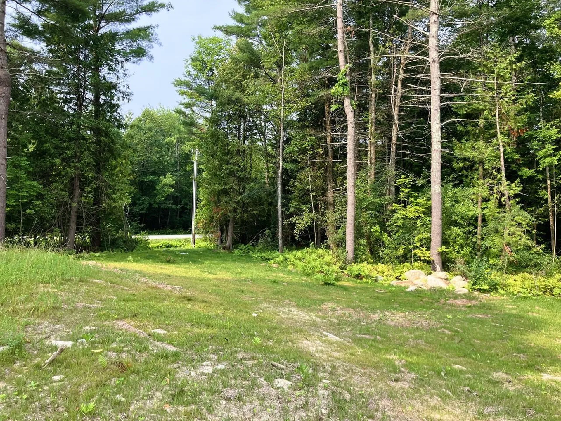 Lot 4 Fern Lake Road Leicester VT 05733