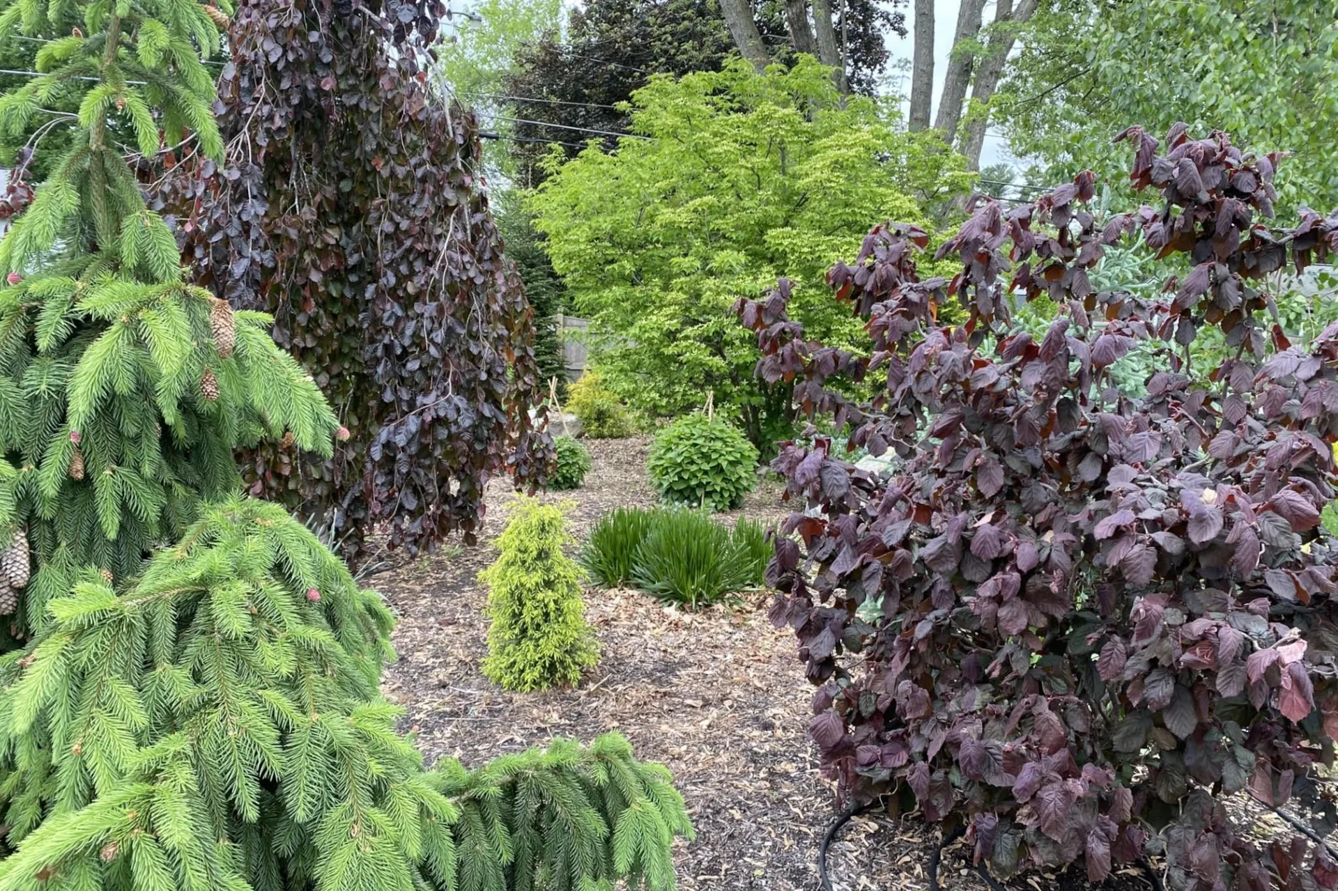 25 Eastman Street Nashua NH 03060
