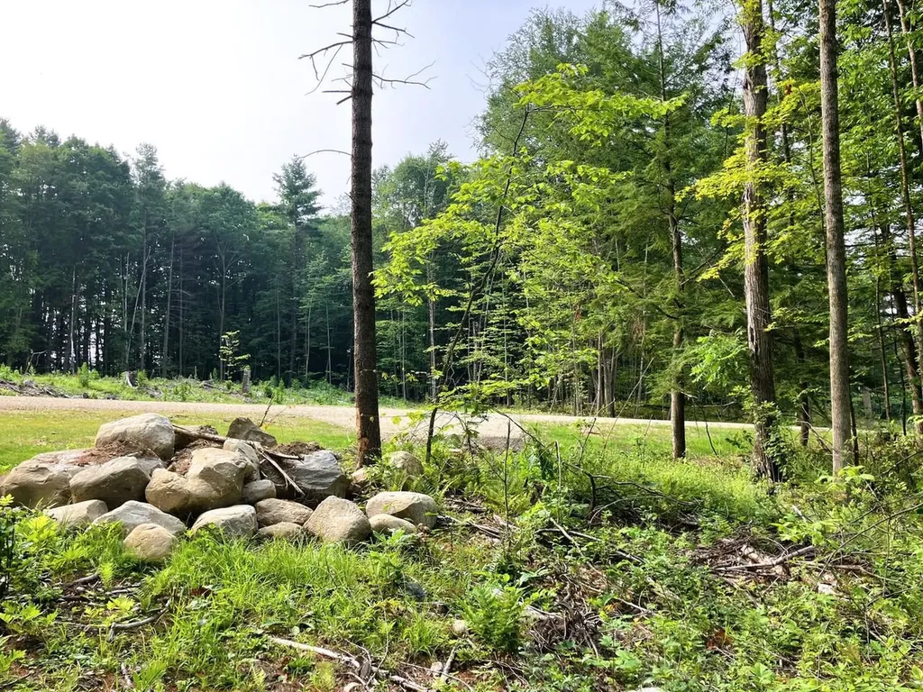 Lot 5 Fern Lake Road Leicester VT 05733