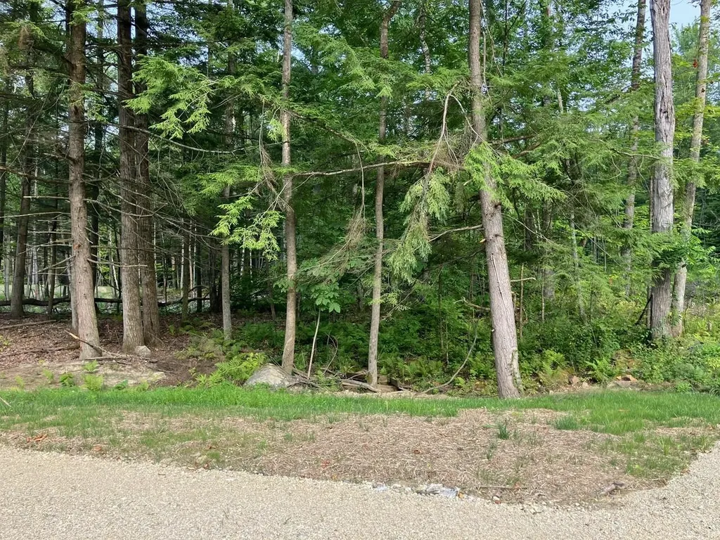 Lot 5 Fern Lake Road Leicester VT 05733