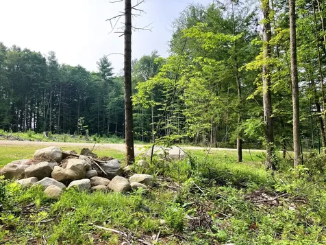 Lot 5 Fern Lake Road Leicester VT 05733