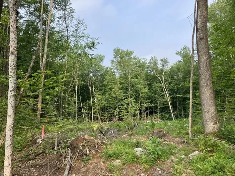 Lot 5 Fern Lake Road Leicester VT 05733