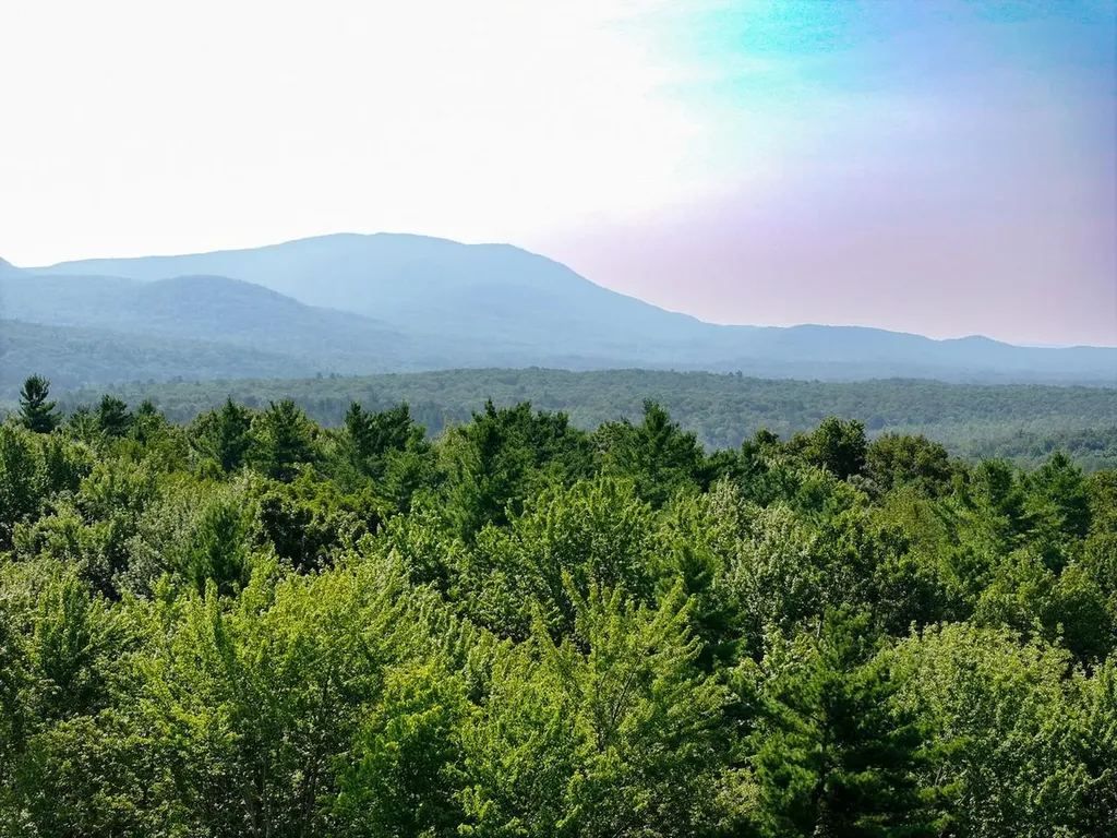 Lot 8 Fern Lake Road Leicester VT 05733