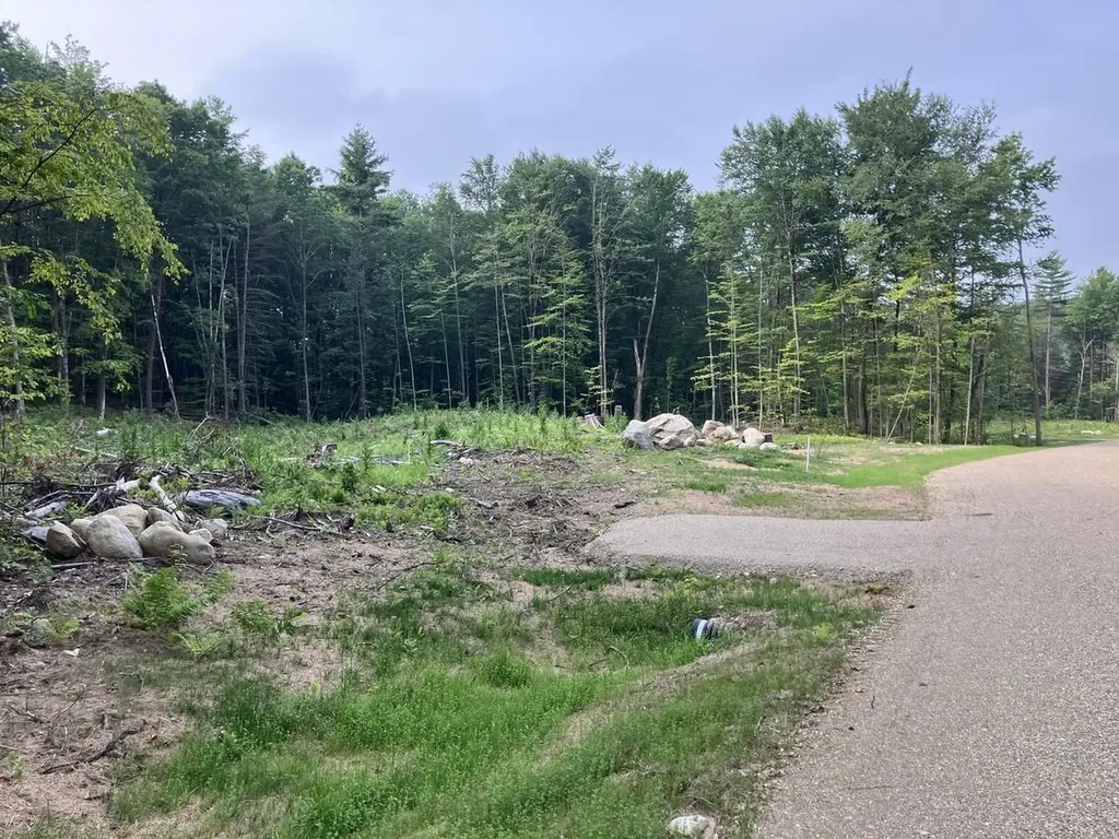 Lot 8 Fern Lake Road Leicester VT 05733