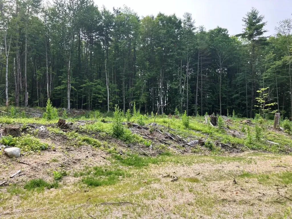 Lot 8 Fern Lake Road Leicester VT 05733