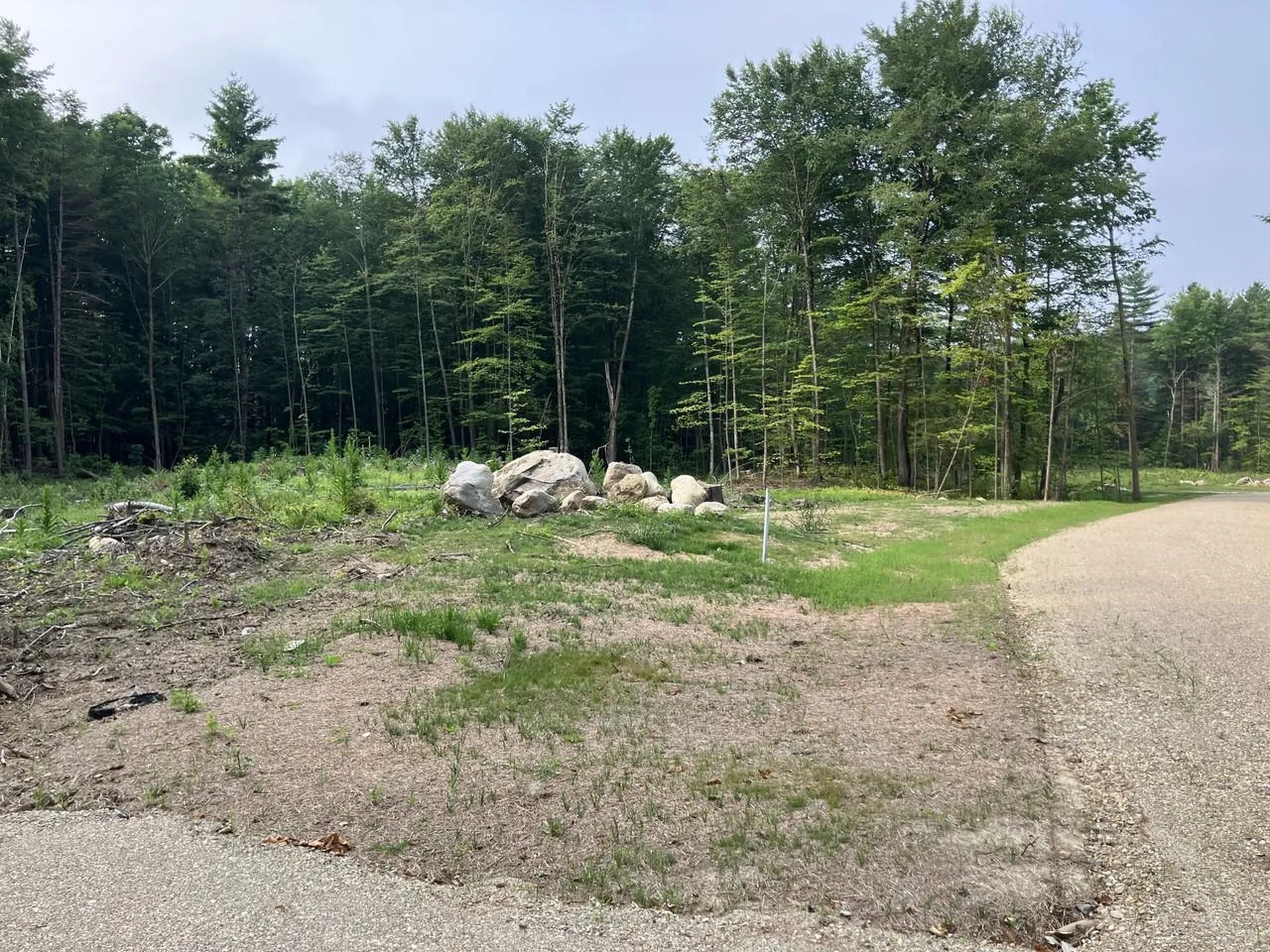Lot 8 Fern Lake Road Leicester VT 05733