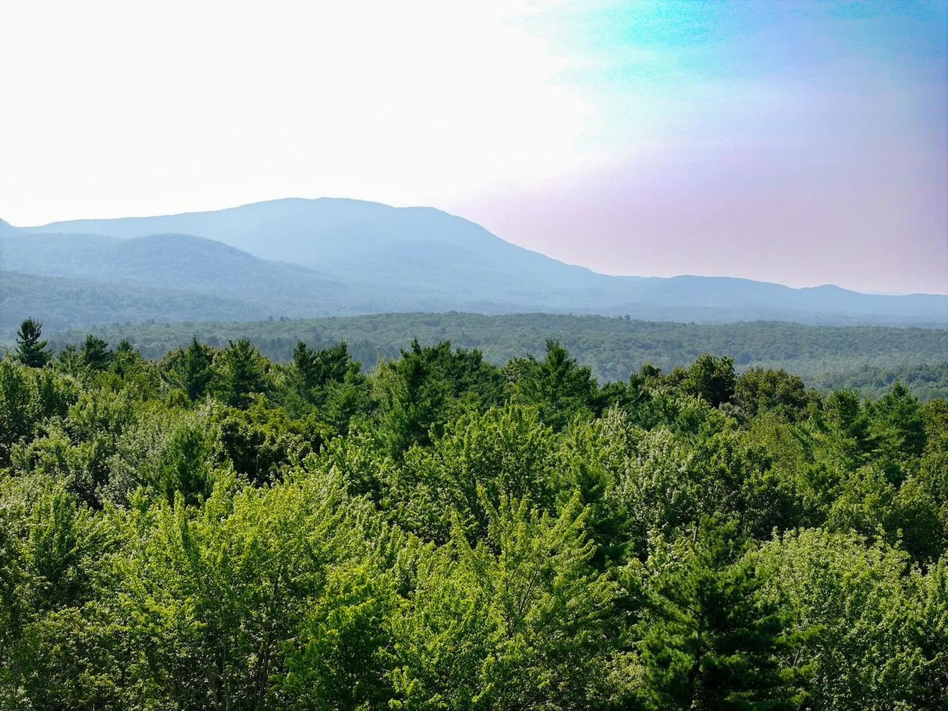 Lot 8 Fern Lake Road Leicester VT 05733