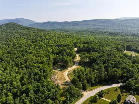 Lot 8 Fern Lake Road Leicester VT 05733