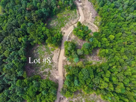 Lot 8 Fern Lake Road Leicester VT 05733
