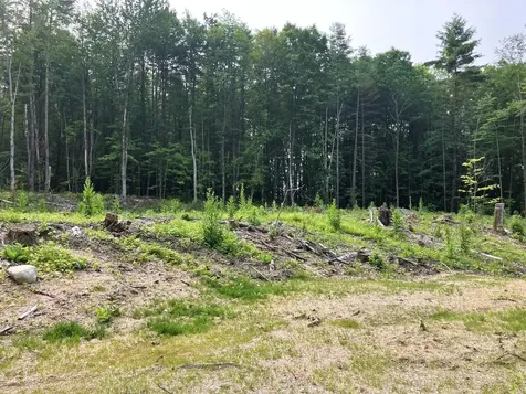 Lot 8 Fern Lake Road Leicester VT 05733