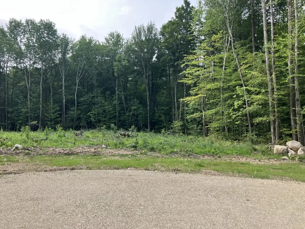 Lot 9 Fern Lake Road Leicester VT 05733