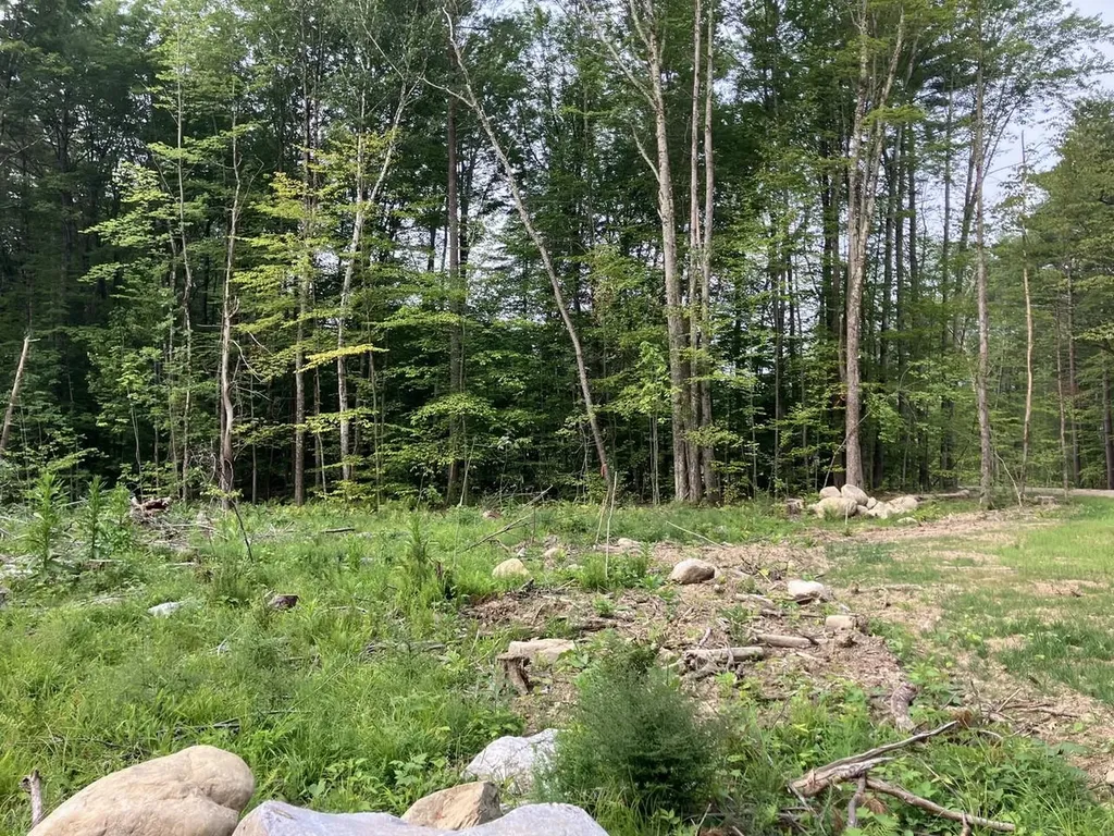 Lot 9 Fern Lake Road Leicester VT 05733