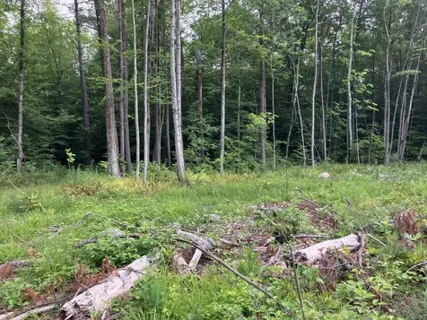 Lot 9 Fern Lake Road Leicester VT 05733