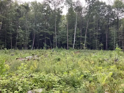 Lot 9 Fern Lake Road Leicester VT 05733