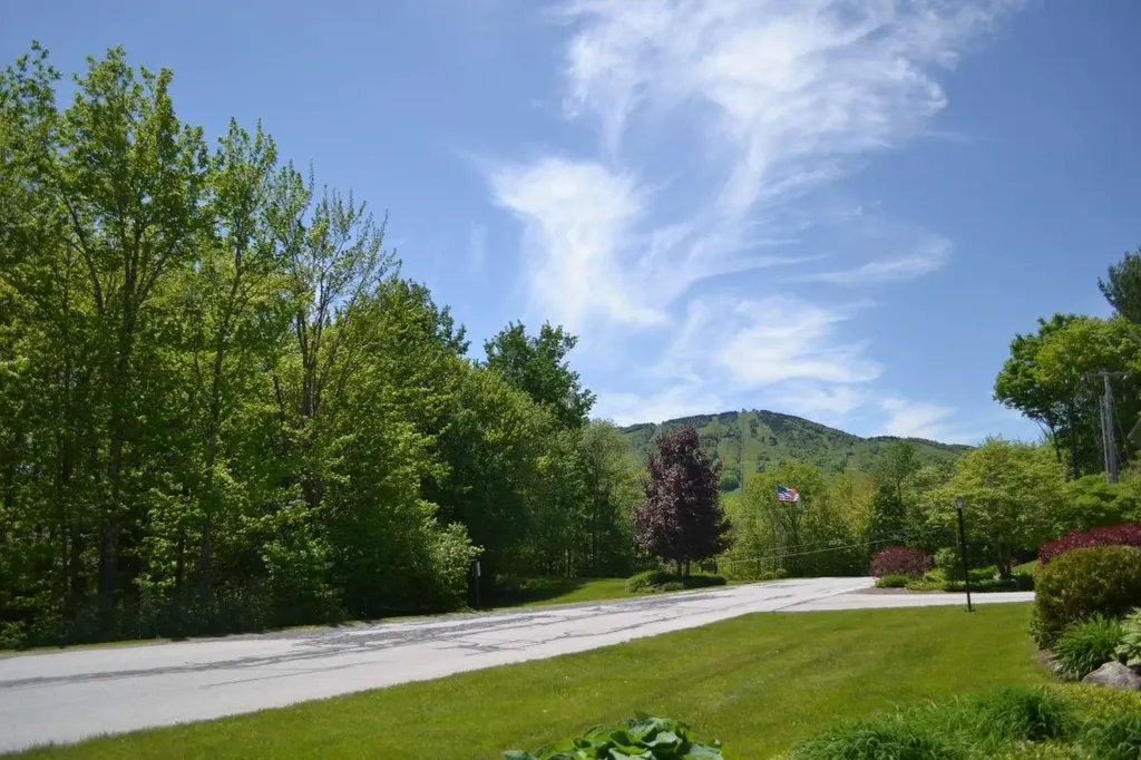 4B Newfane Circle Dover VT 05356