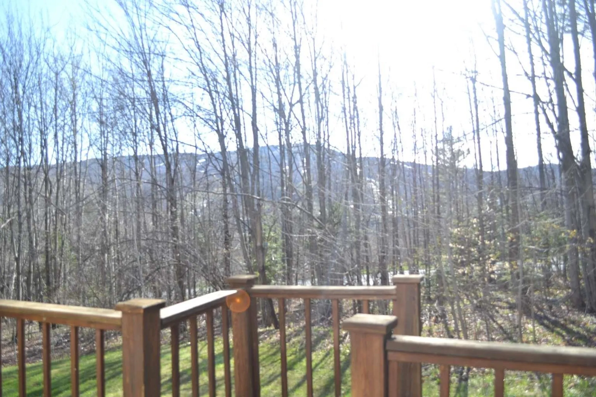 4B Newfane Circle Dover VT 05356