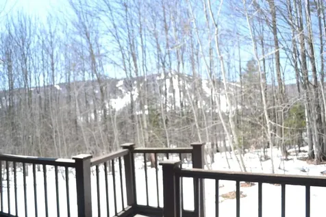 4B Newfane Circle Dover VT 05356