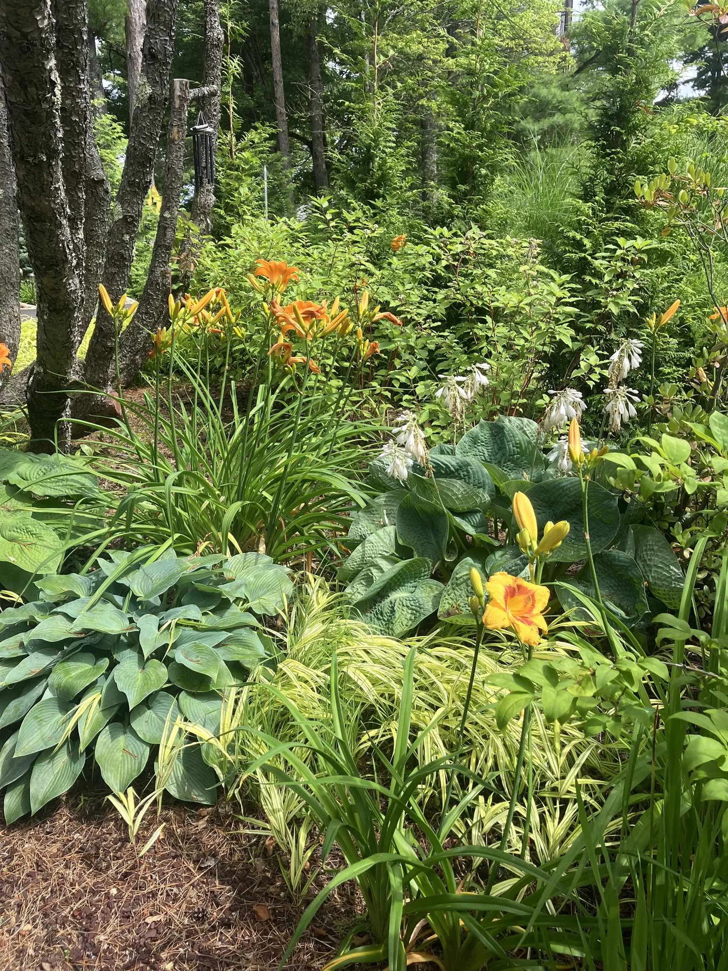 39 Alpine Drive Gilford NH 03249