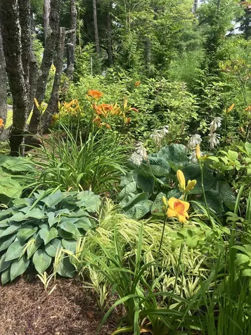 39 Alpine Drive Gilford NH 03249